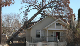 Fairfield Emergency Tree Removal